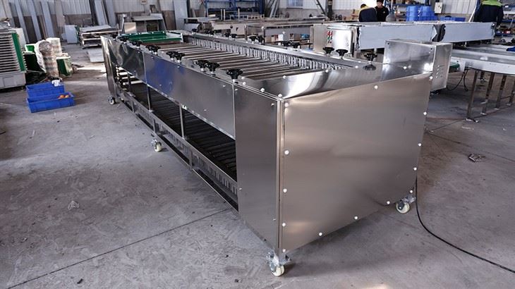 Automatic Roller Fruit Sorting Machine best