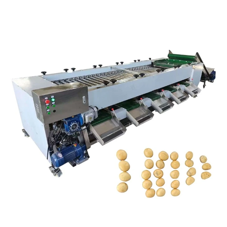 Automatisk rulle fruktsorteringsmaskin