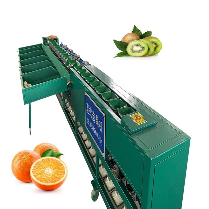 Avokado Dragon Frukt Sorteringsmaskin