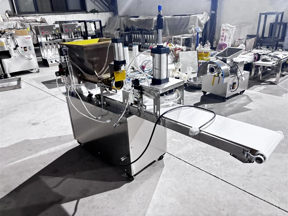 pet snack forming machine (2)