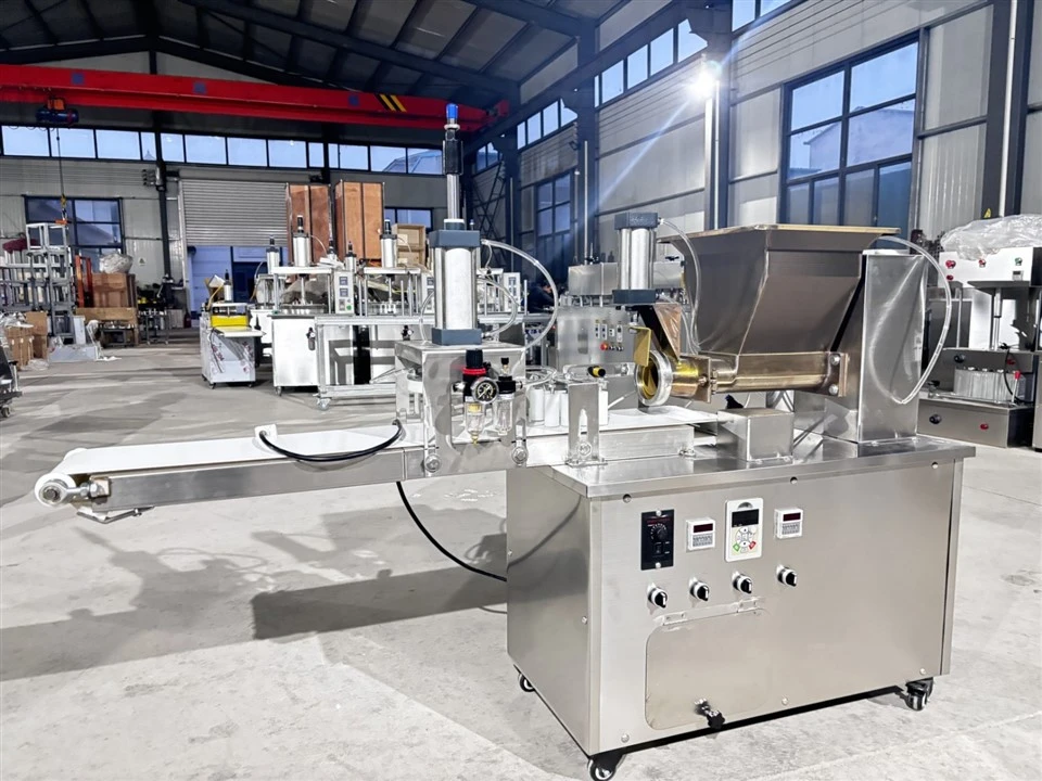 pet snack forming machine (13)