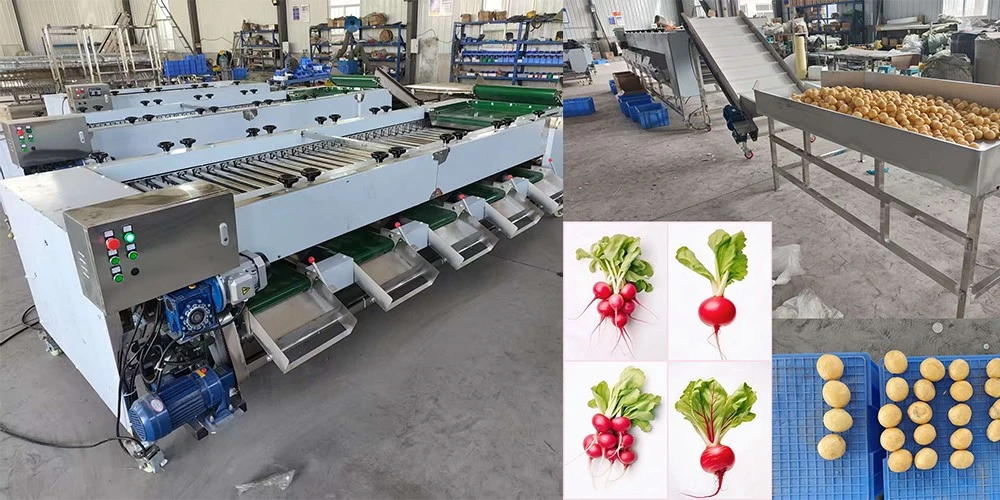 product-1000-500