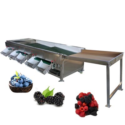 Fresh Grader blåbær sorteringsmaskin